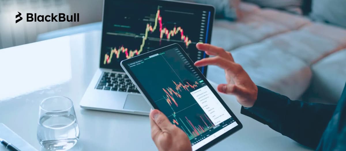 Comprehensive Review of BlackBull Markets: Your Ultimate Forex Trading Partner